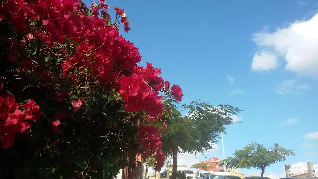 Casa Luminosa Bed & Breakfast Bocacangrejo