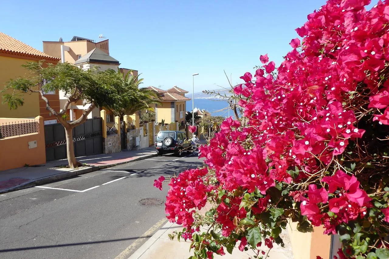 Casa Luminosa Bed & Breakfast Bocacangrejo